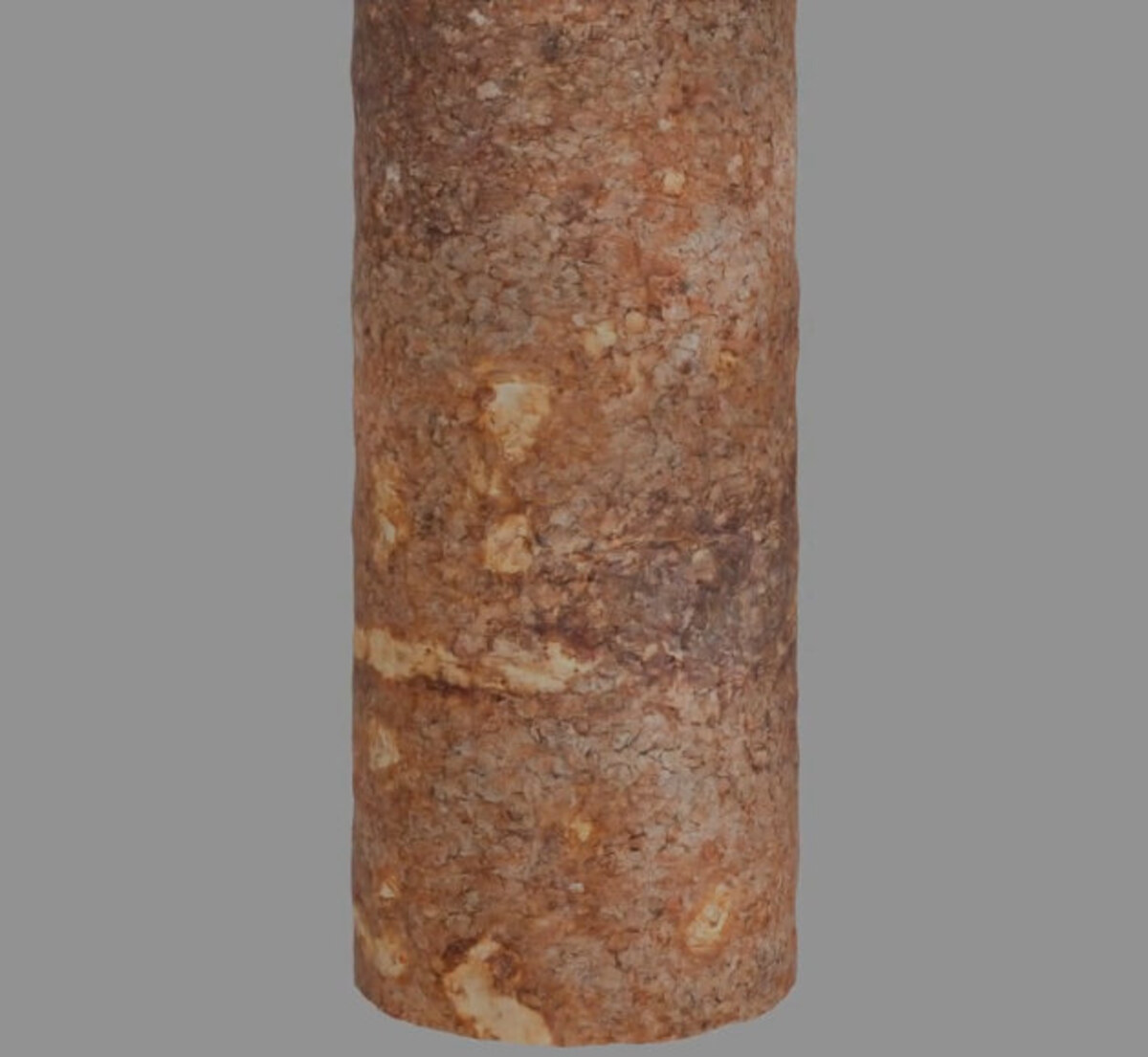 Generated bark texture wrapped around a cylindrical log in Blender